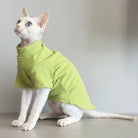 Un chat portant un sweat confortable pour chat en vert clair, parfait pour le confort et le style