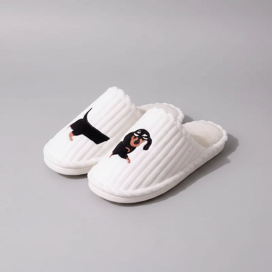 Chaussons motif chien teckel en blanc avec design amusant de teckel sur le devant