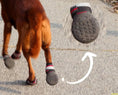 Load image into Gallery viewer, Chaussure pour chien avec chaussette Oscar et Plume
