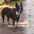 Load image into Gallery viewer, Chaussures antidérapantes d'Été Pour Chiens Oscar et Plume Noir / 1
