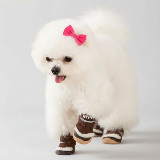 Petit chien blanc portant des chaussures petit chien marron fourrées pour protection et confort