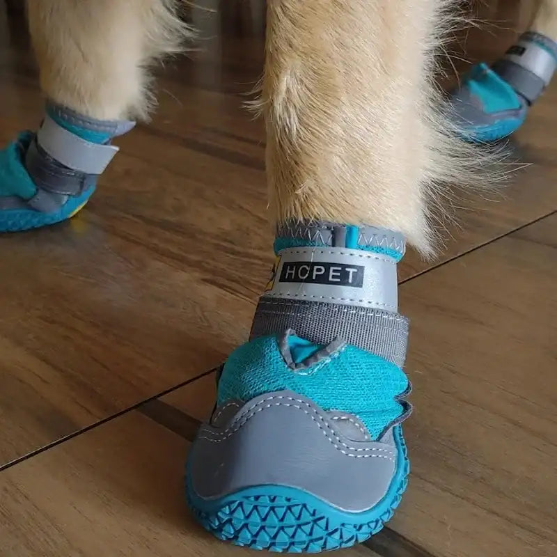 Chaussures pour chien bleues Oscar et Plume avec semelle antidérapante et fermeture velcro