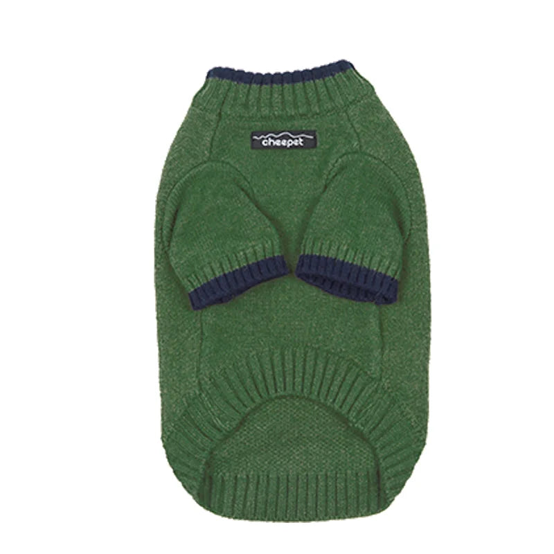 Pull chaud pour teckel en vert avec des manches courtes pour un style confortable