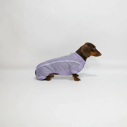 Chemise été pour chien teckel en violet, parfaite pour les journées chaudes