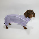 Chemise été pour chien teckel en violet, confortable et légère pour les journées chaudes