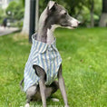 Load image into Gallery viewer, Chemise pour lévrier et whippet Oscar et Plume Taille 1
