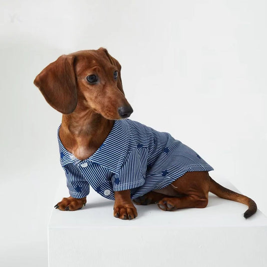Chemise pour teckel à rayures bleu marine avec boutons pour un look élégant
