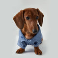 Carica l'immagine nel visualizzatore della galleria, Chemise pour teckel à rayures bleues avec col élégant pour chiens stylés
