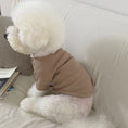 Load image into Gallery viewer, Chien blanc portant une chemise élégante pour chien beige en maille confortable sur un canapé
