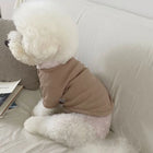 Chien blanc portant une chemise élégante pour chien beige en maille confortable sur un canapé