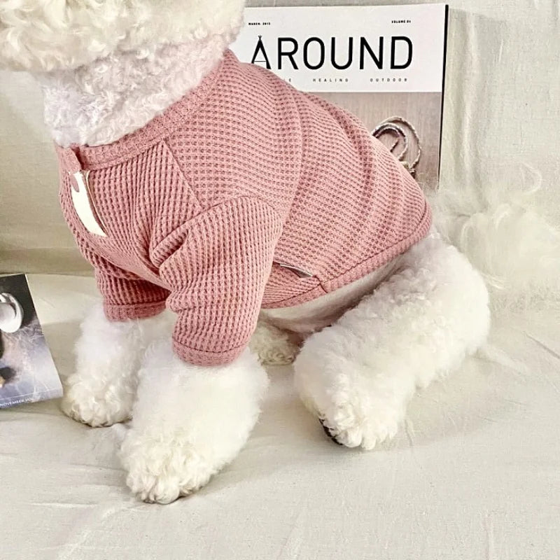 Chien blanc portant une chemise élégante pour chien rose tricotée de Oscar et Plume assis sur un canapé