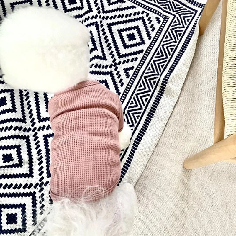 Petit chien blanc portant une chemise élégante pour chien rose de la marque Oscar et Plume