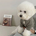 Load image into Gallery viewer, Chien blanc portant une chemise élégante pour chien grise en tricot confortable sur un canapé
