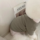 Chien blanc portant une chemise élégante pour chien en tissu texturé gris clair