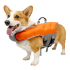 Chien portant un gilet de sauvetage pour chien orange avec sangles ajustables de la marque Oscar et Plume