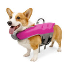 Chien portant un gilet de sauvetage pour chien rose avec sangles grises ajustables de Oscar et Plume