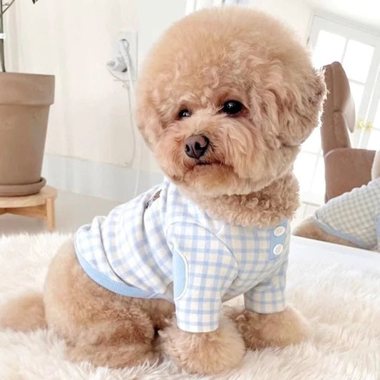 Petit chien portant un t-shirt pour chien confortable à carreaux bleu et blanc d'Oscar et Plume