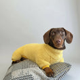 Charger l'image dans la visionneuse de la galerie, Chien teckel brun portant un pull polaire pour teckel jaune cosy allonge sur coussin et plaid noir
