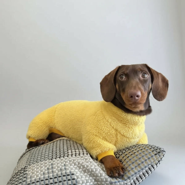 Chien teckel brun portant un pull polaire pour teckel jaune cosy allonge sur coussin et plaid noir