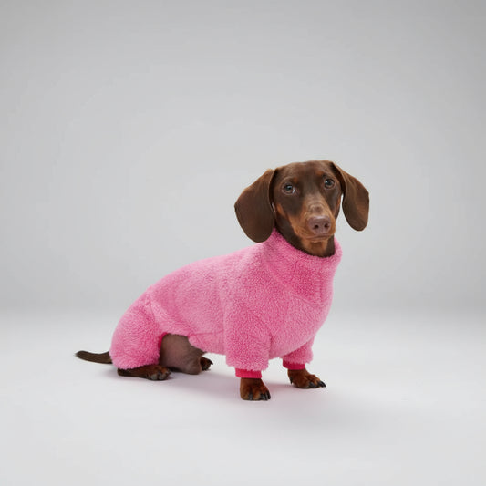 Teckel marron portant un pull polaire pour teckel rose vif et douillet de la marque Oscar et Plume