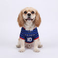 Load image into Gallery viewer, T-shirt chien bleu et noir à rayures avec le mot France et le numéro 10 pour les animaux de compagnie
