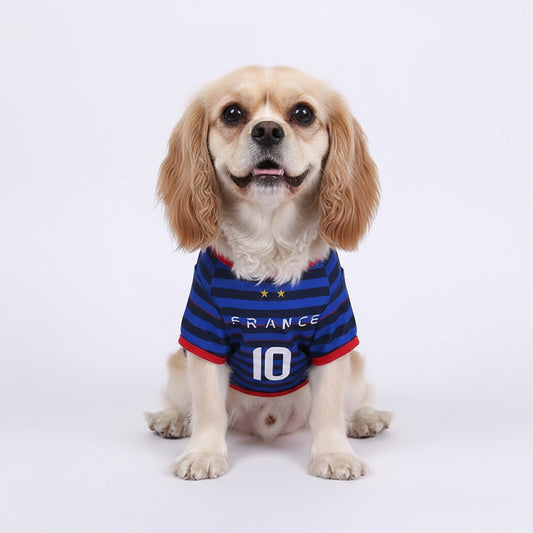 T-shirt chien bleu et noir à rayures avec le mot France et le numéro 10 pour les animaux de compagnie