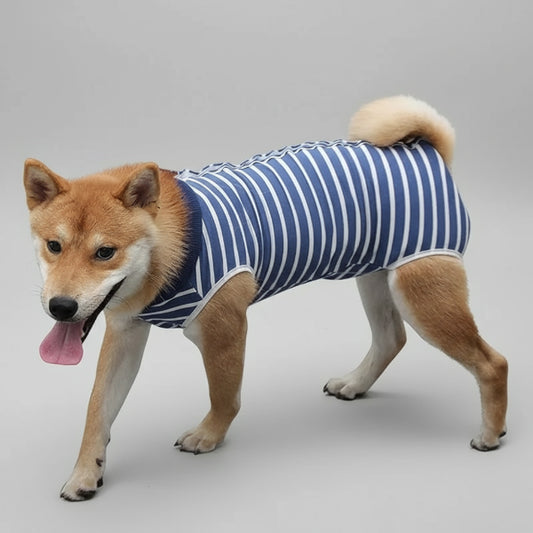 Chien portant un T-shirt post-opératoire chien rayé bleu et blanc respirant de Oscar et Plume