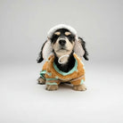 Chiot teckel noir et feu portant un manteau polaire pour teckel Oscar et Plume assis sur un tabouret sous la neige