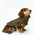 Cargar la imagen en la vista de la galería, Oscar et Plume manteau pour teckel matelassé vert olive avec col zippé et doublure chaude pour chien
