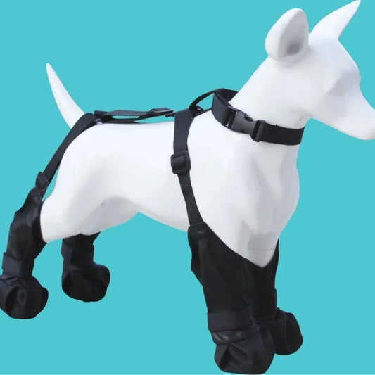 Chaussures étanches pour chien de la marque Oscar et Plume avec harnais ajustable noir