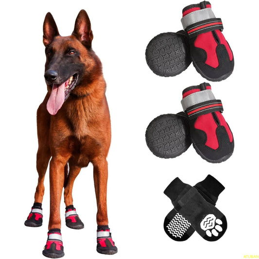 Chaussures pour chien rouges et noires Oscar et Plume portées par un grand chien debout