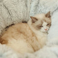 Load image into Gallery viewer, Cocon et coussin tout doux pour chat Oscar et Plume
