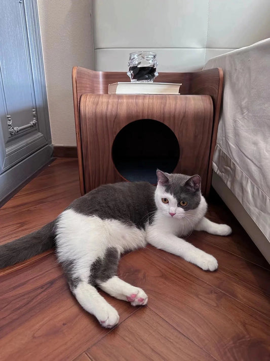 Cocon meuble en bois multi - fonction pour chat - Oscar et Plume