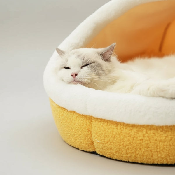 Cocon pour chat en peluche doux et confortable pour le repos de votre félin