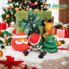 Coffret cadeau Noël pour petit chien avec jouets festifs et un emballage décoratif