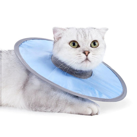 Collerette de protection waterproof pour chat Oscar et Plume Bleu / M