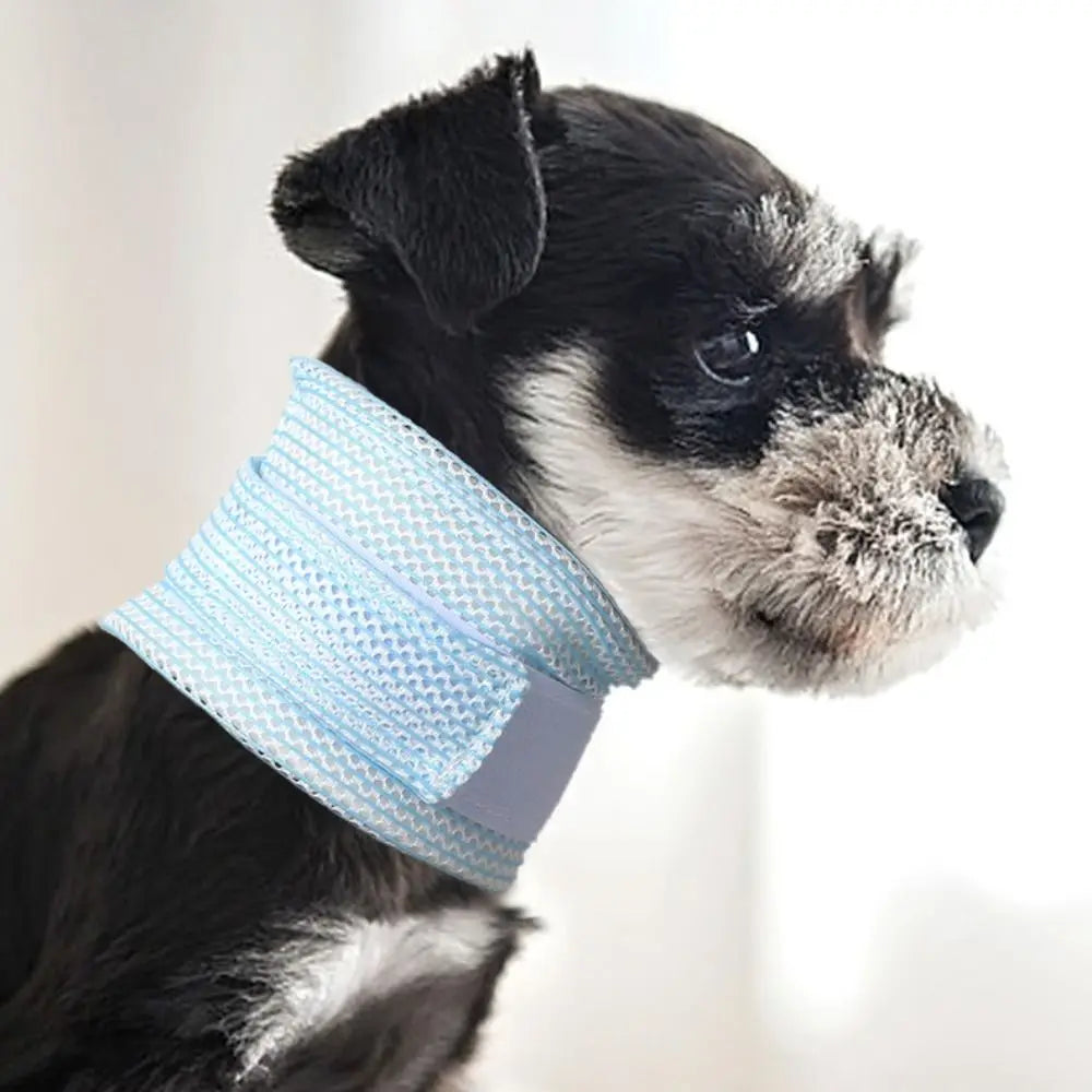 Collerette douce pour chat de Oscar et Plume, conçue pour le confort et la protection des animaux