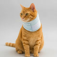 Charger l'image dans la visionneuse de la galerie, Collerette douce pour chat en tissu bleu clair, confortable et légère pour le bien-être félin
