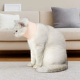Charger l'image dans la visionneuse de la galerie, Un chat avec une collerette douce pour chat, assis sur un tapis devant un canapé élégant
