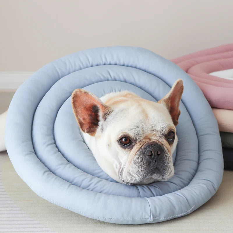 Colerette douce pour chien et chat en bleu avec un bulldog français à l'intérieur, idéal pour le confort des animaux