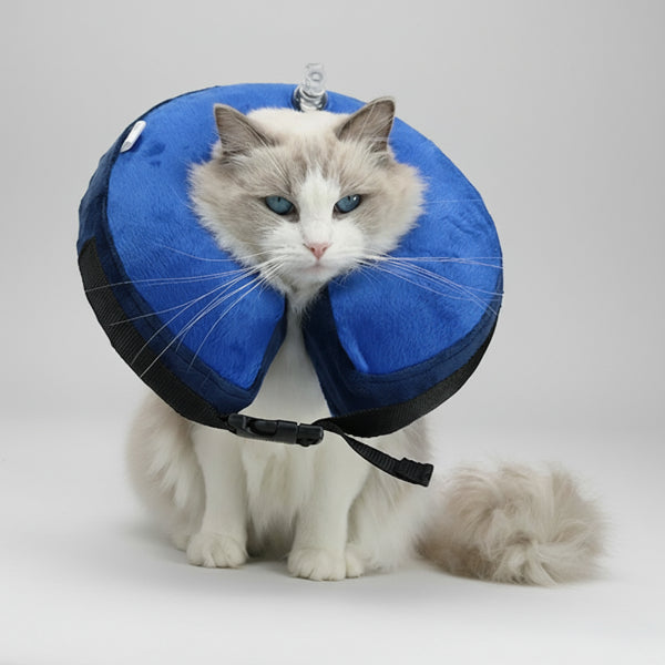Collerette gonflable pour chien bleue, douce et confortable pour protéger les animaux après une opération