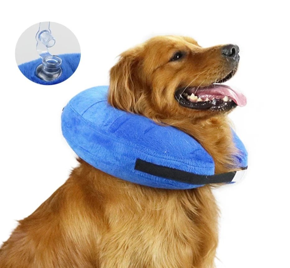 Collerette gonflable réglable pour chien et chat Oscar et Plume