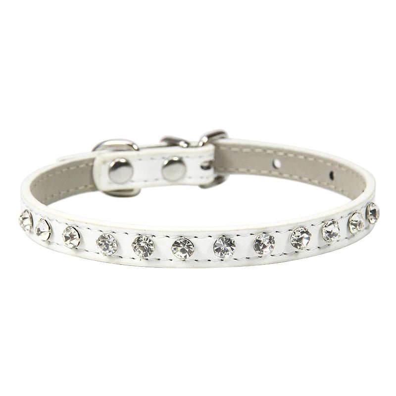 Collier avec Brillants en cuir durable pour petit chien et chat Oscar et Plume Blanc / XS