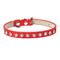 Load image into Gallery viewer, Collier avec Brillants en cuir durable pour petit chien et chat Oscar et Plume Rouge / XS
