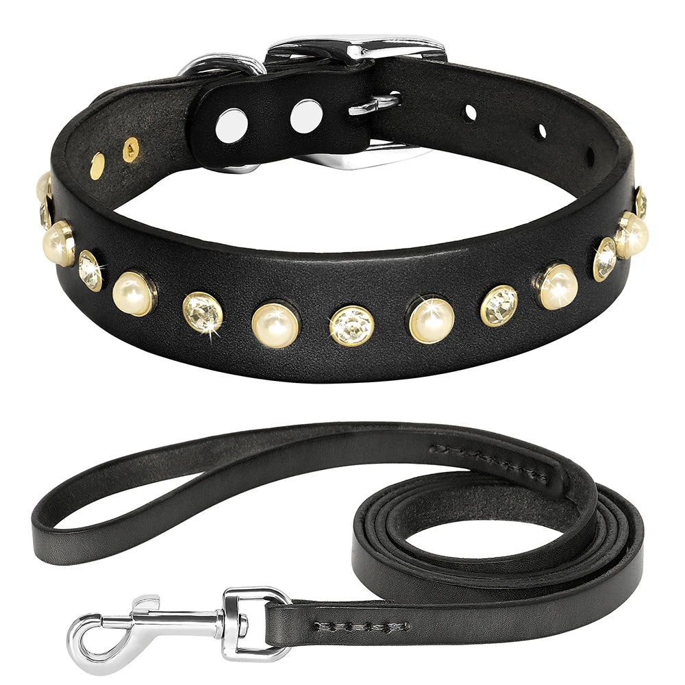 Collier brillant et perle en cuir véritable pour petit chien et chat Oscar et Plume Collier + laisse noir / XS