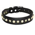 Load image into Gallery viewer, Collier brillant et perle en cuir véritable pour petit chien et chat Oscar et Plume Collier noir / XS
