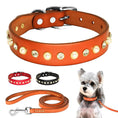 Load image into Gallery viewer, Collier brillant et perle en cuir véritable pour petit chien et chat Oscar et Plume
