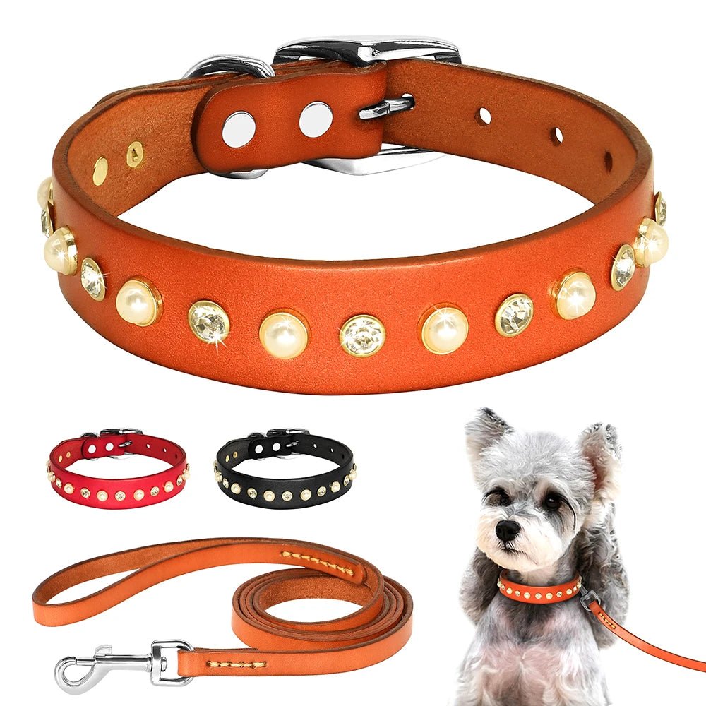 Collier brillant et perle en cuir véritable pour petit chien et chat Oscar et Plume