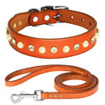 Load image into Gallery viewer, Collier brillant et perle en cuir véritable pour petit chien et chat Oscar et Plume Collier + Laisse orange / XS
