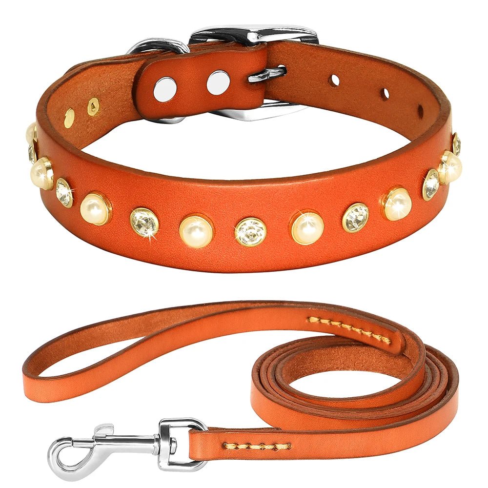 Collier brillant et perle en cuir véritable pour petit chien et chat Oscar et Plume Collier + Laisse orange / XS